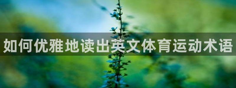oety欧亿体育官网下载招商电话号码：如何优雅地读出