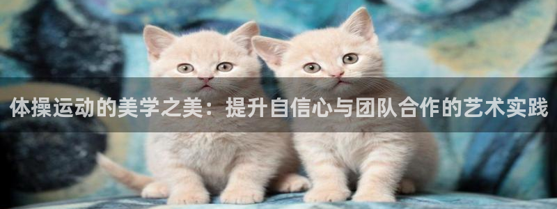 oety欧亿体育官网下载注册：体操运动的美学之美：提