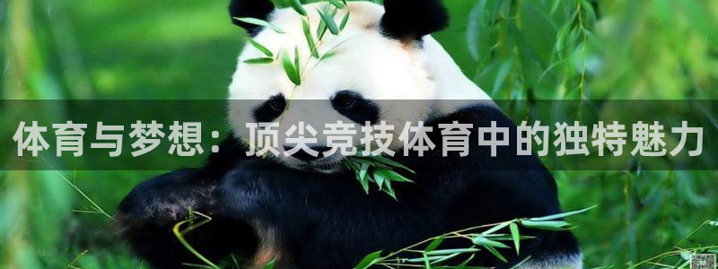 oety欧亿体育官网下载招商电话：体育与梦想：顶尖竞
