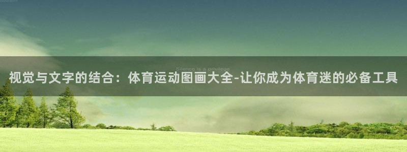 欧亿体育官方正版app娱乐代理怎么样：视觉与文字的结
