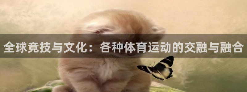 oety欧亿体育官网下载平台是正规平台吗：全球竞技与