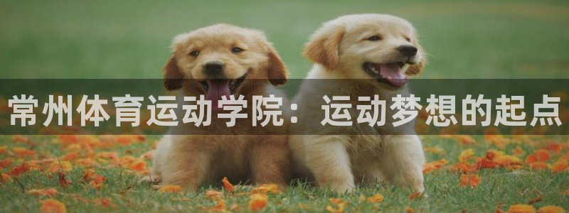 欧亿体育官方正版app新能源：常州体育运动学院：运动梦想的起