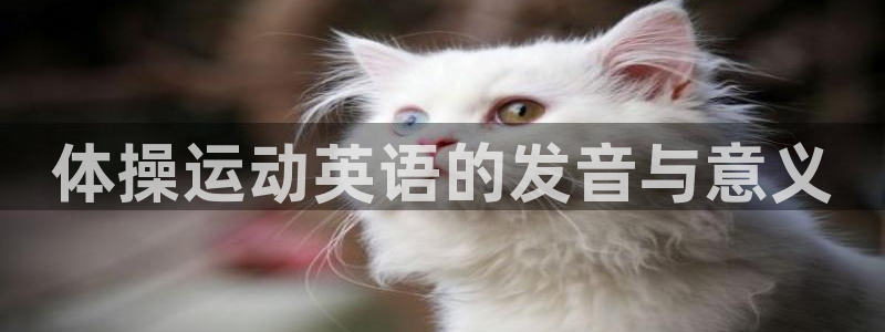 oety欧亿体育官网下载平台是正规平台吗：体操运动英