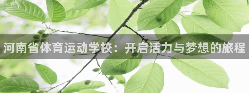 欧亿体育官方平台体育：河南省体育运动学校：开启活力与