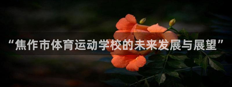 oety欧亿体育官网下载平台注册要钱吗：“焦作市体育