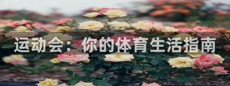 oety欧亿体育官网：运动会：你的体