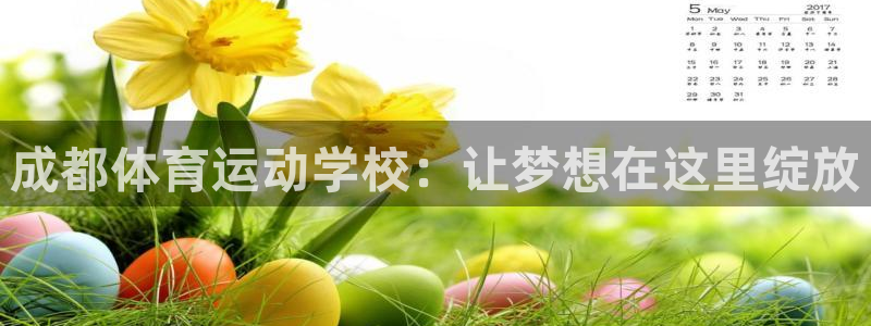 欧亿app官方下载最新版：成都体育运