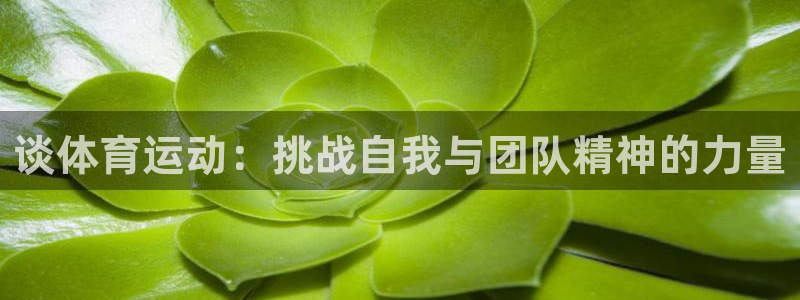 欧亿官网下载appios.交易所ap