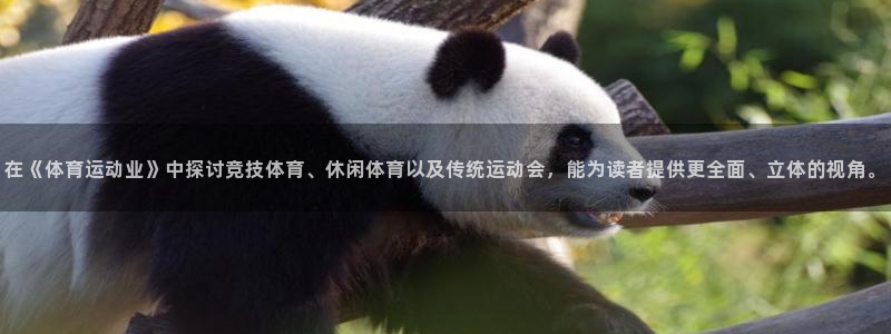 oety欧亿体育官网下载平台假的吗是真的吗吗：在《体育运动业