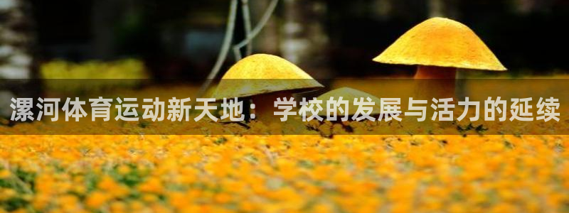 oety欧亿体育官网下载招商电话地址查询：漯河体育运动新天地