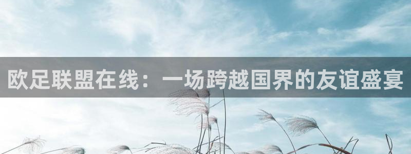 五星体育直播节目表