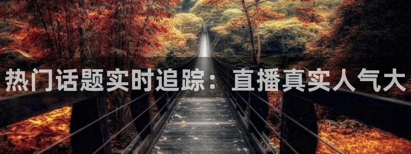 上海五星体育app官方下载
