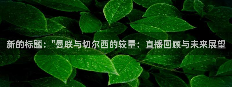 五星体育在线观看高清直播：新的标题：\