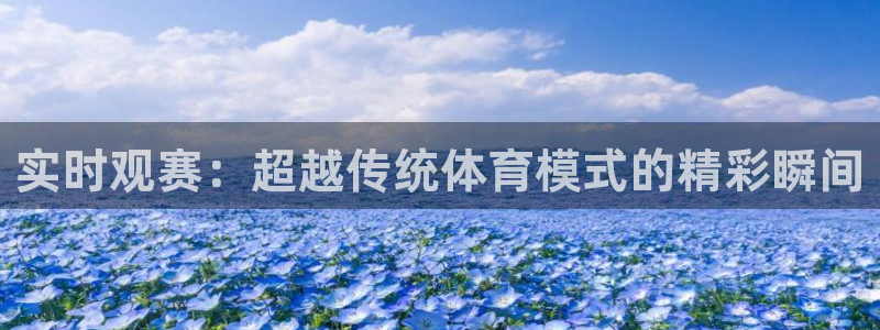 五星体育频道直播节目表：实时观赛：超越传统体育模式的精彩瞬间